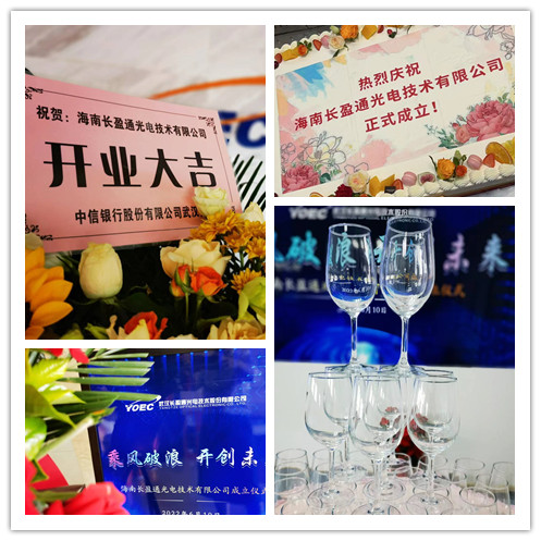 鲜花_副本.jpg 鲜花_副本.jpg